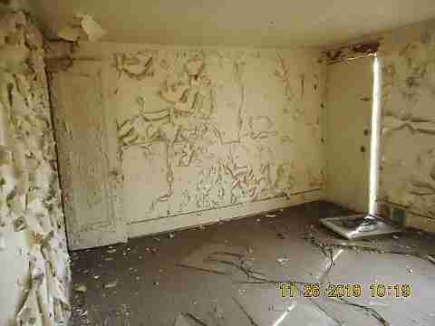 14394 Cruse (36)_m.jpg